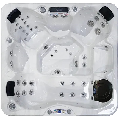 Avalon EC-849L hot tubs for sale in Grand Junction